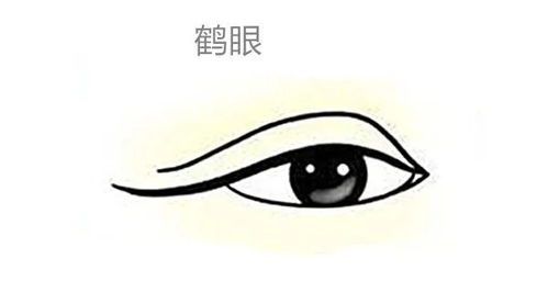 你的眼睛形状代表着什么样的自身运势