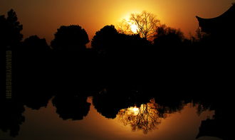 留恋夕阳画美丽,感悟人生伴余生