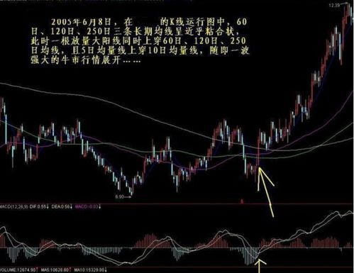 严为民的左手黄金右手股票是不是骗局啊