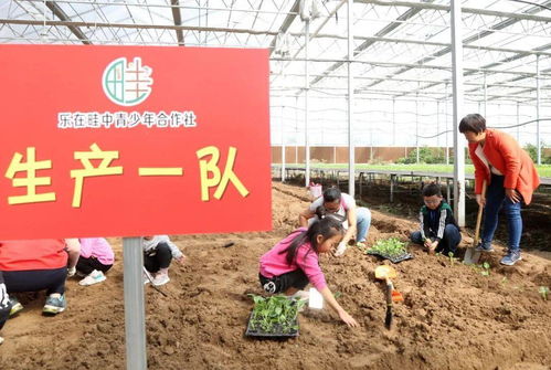 乐在畦中 青少年合作社 活动花絮