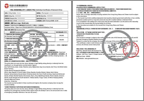 办理中国商务签证需要哪些资料？(图2)