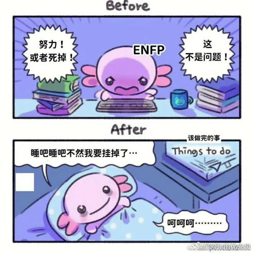 日常plog I ENFP真的泰酷辣 