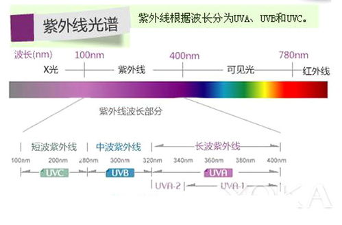 蓝炬星集成灶：新型冠状病毒对紫外线和热敏感