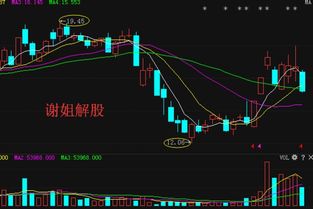 股票日价格涨跌幅偏离值达一定值（7%）时证券交易所要在交易公开信息中披露买卖券商名单，可为什么有例外