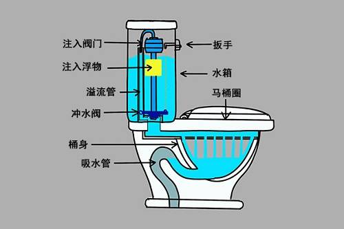 马桶下水道构造图片