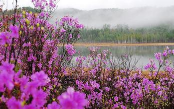 易破坏桃花运的家居风水