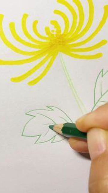 菊花怎么画漂亮又简单,10-12岁儿童学画菊花？