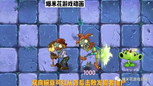 国服pvz2冷知识 pvz2为什么没有毁灭菇