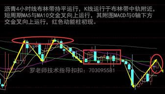 罗梅雅 欧央行降息对美联储加息有何影响