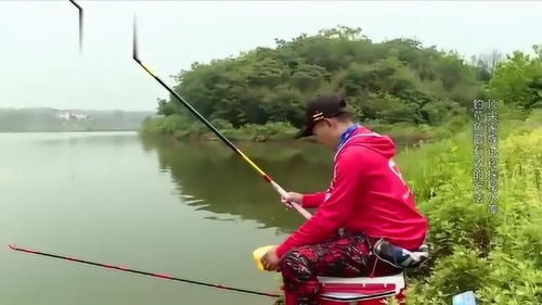 钓鱼飞铅钓法视频教学(钓鱼飞铅钓法视频教学全集)