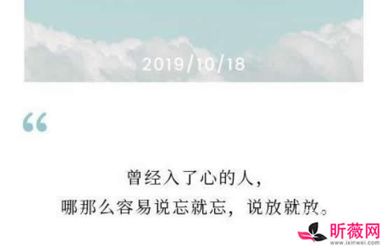 见或不见的歌词