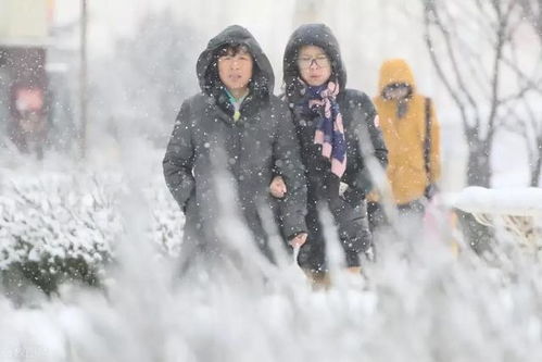 正月惊现打雷降雪,老话 正月雷打雪,遍地起坟头 ,有啥说法