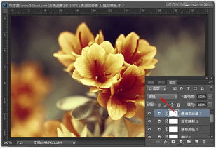 调出古韵金色花朵图片的PS滤镜调色方法 