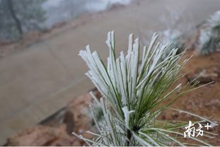 雪景来啦 清远连州迎来新年首场冰挂奇观