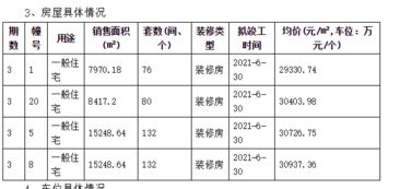 买房先离婚 借钱凑首付 苏北投资客抢占江北 风华国际90分钟小户型售罄