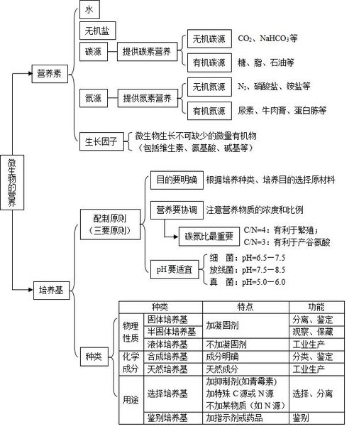 叮叮冷知识新陈代谢 “新陈代谢”