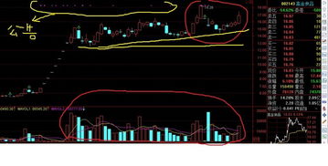 怎样从收盘价的盘面信息看个股的未来趋势？