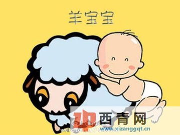 中国夫妇马年怀孕 爱马宝宝不要羊宝宝 