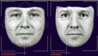 人脸检测与识别年度进展概述 