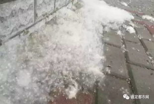 嘉定人挺住 比刮风暴雨更恐怖的是下 雪 持续一个月 