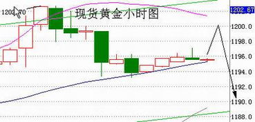 股票“爆仓”，不明白？