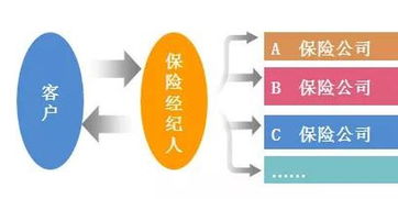 中宏保险代理人佣金(中宏保险招聘保险经纪人)