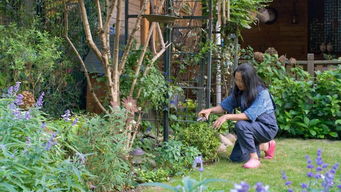 15年前,她在松江买下一套带花园的别墅,把生活过成了诗
