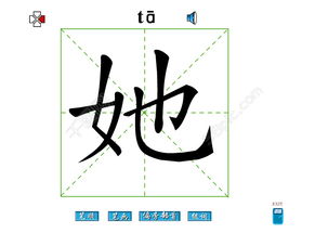 她字笔画flash教程模板免费下载 swf格式 编号14903847 千图网 