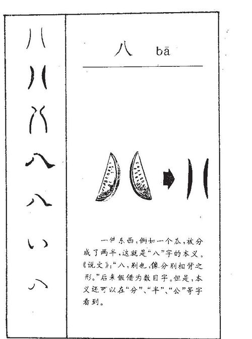 八的意思 八字五行属什么 八字取名的寓意 