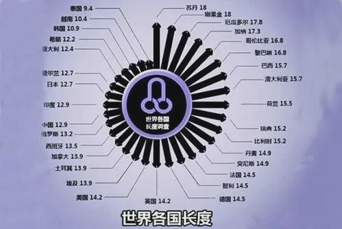 中国男性丁丁长度,在世界标准排第几 长度硬度和直径哪个更重要