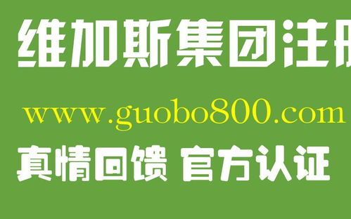 《澳门大阳77139登入：深度剖析网络娱乐赌博的新趋势和挑战》