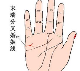 手相婚姻线图解(五)：婚姻线尾部出现一条短线(手相中哪条是婚姻线有图解吗怎么看)