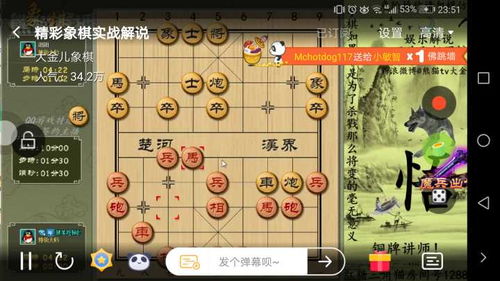 大金象棋封禁 肖九拙象棋什么水平