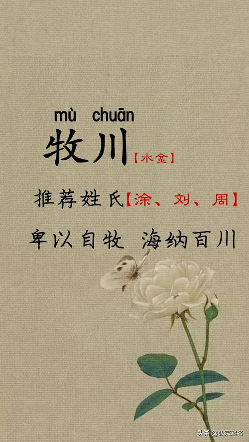 男宝宝带鸿字的名字（男孩带鸿字好听的名字）