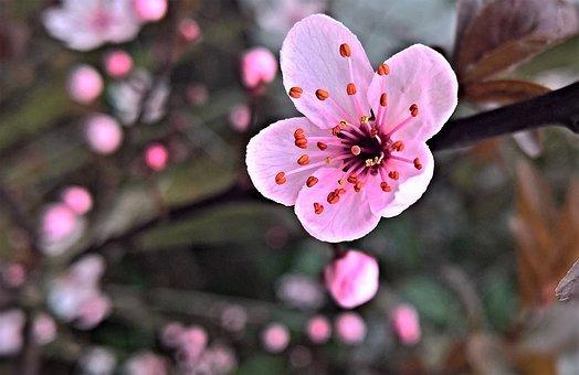 巨蟹座 天蝎座和双鱼座本月 1月1日 1月31日 生活指导