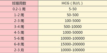 怀孕血检hcg值多少正常,血检hcg值是多少表示怀孕？