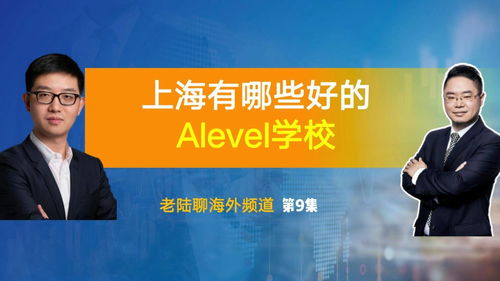 上海alevel课程的国际学校(国际课程alevel是什么)