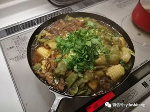 简易版铁锅炖