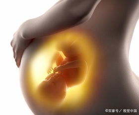 怀孕期间,男宝和女宝的胎动不一样吗 听听这些妈妈怎么说