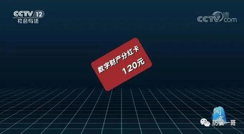 云数贸的张健是个什么样的人？云数贸合法吗？国家允许吗？