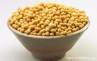 磨豆浆用大黄豆还是小黄豆好 