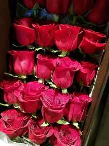蜜约美术花艺 红色玫瑰礼盒