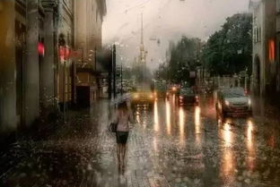 宛若油画的雨中城市小提琴 下雨的时候 ,太美了