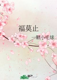 福莫止 一颗小毛球 