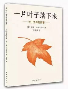 这几堂清明创意课 让孩子更好地理解生命 死亡 爱和希望 