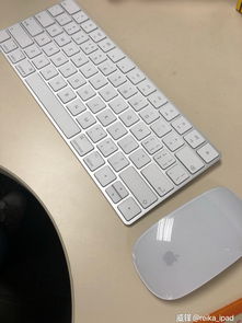 苹果电脑win10键鼠