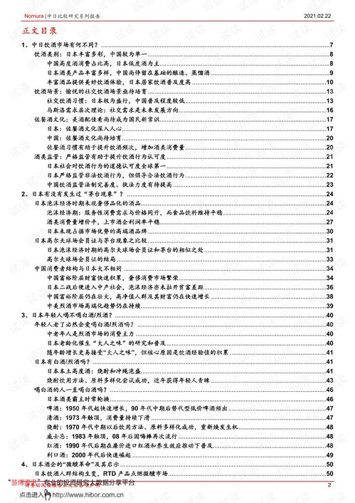 查重对照报告写作模板与示例