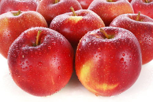 苹果跟雪莲哪个吃了好？