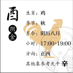 看漫画学八字之二 天干地支