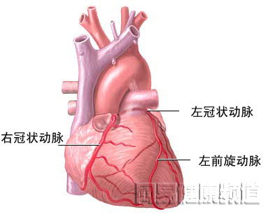 什么样的人适合做心脏搭桥(什么人适合做心脏搭桥手术)